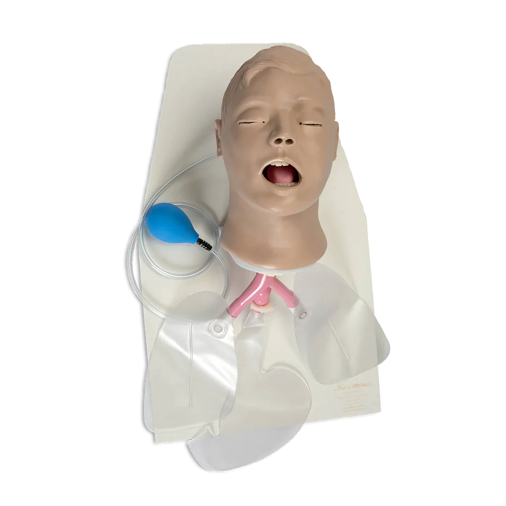 Airway management training manikin with inflatable lungs and stand