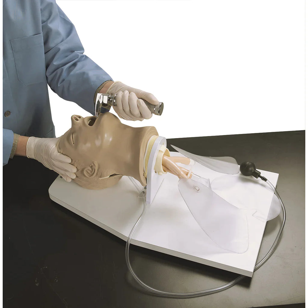 Airway management training manikin with inflatable lungs and stand in use with a laryngoscope