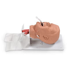 Economy Adult Airway Management Trainer - Best Training Supplies from Nasco Healthcare - Shop now at AED Professionals